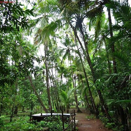 Saaj Resort ดาโปลี ภายนอก รูปภาพ