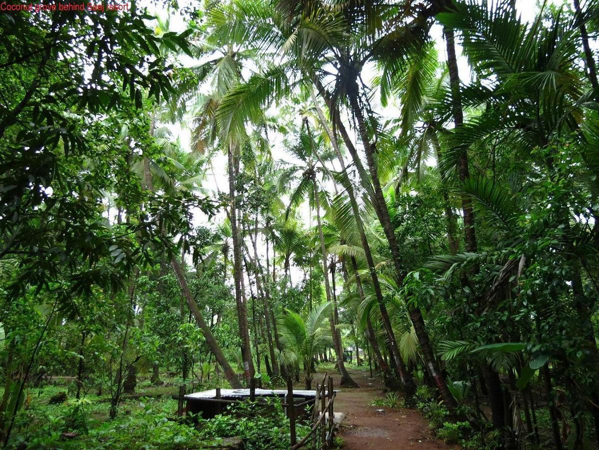 Saaj Resort ดาโปลี ภายนอก รูปภาพ